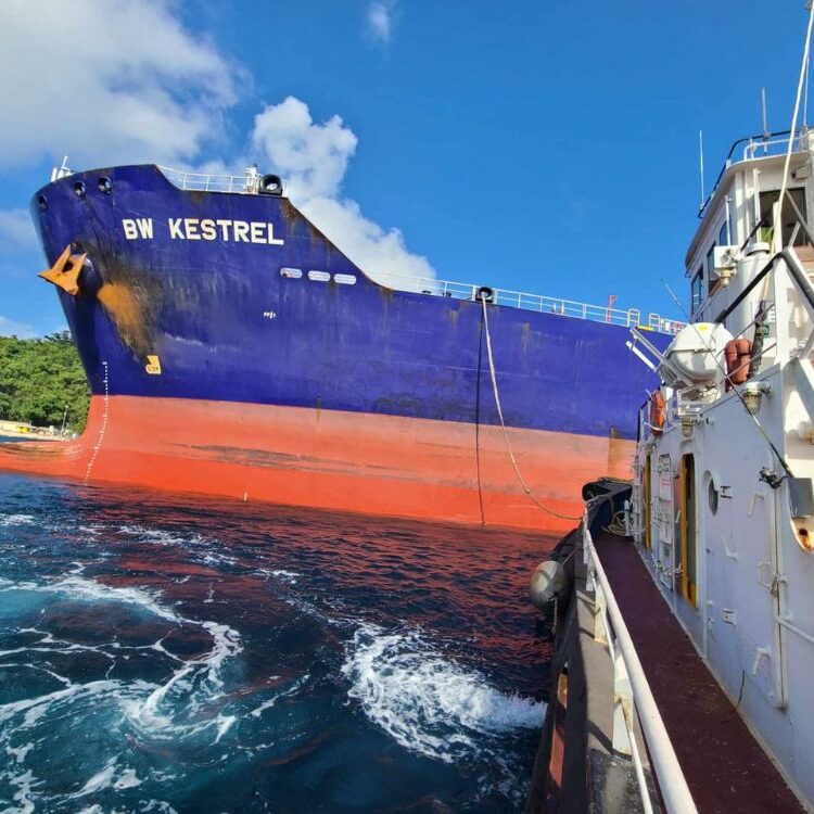 Tugboat Titirangi assists BW Kestrel