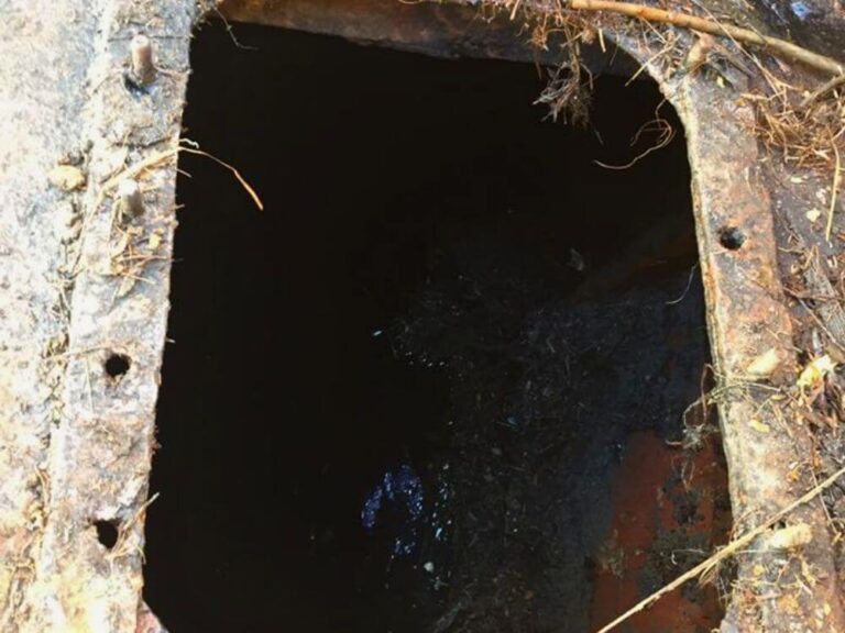 Salvage of MV Freedom 9